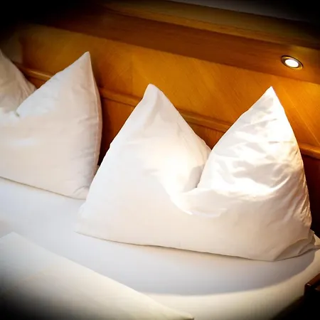 Der Steinerwirt Guest house Wagrain