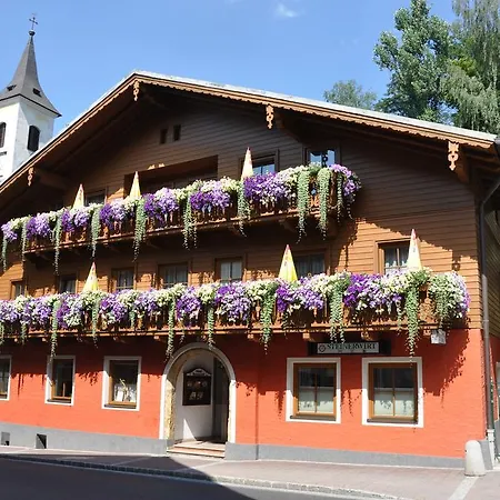 بيت ضيافة Der Steinerwirt